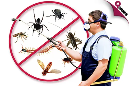 From QR100 Get Rid of Those Icky Pests with Professional Pest Control Services! (Up to QR400 Value)